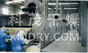DWC系列脫水蔬菜帶式干燥機(jī)