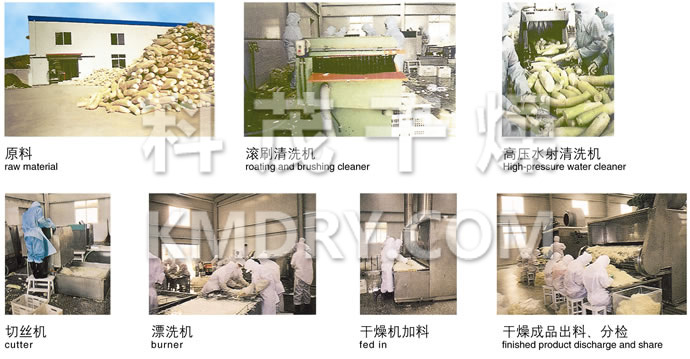 DWC系列脫水蔬菜帶式干燥機(jī)